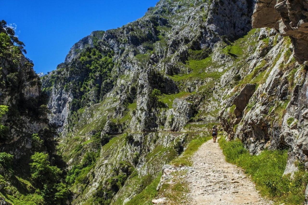 El Mirador De Meron Сан-Вісенте-де-ла-Баркера Екстер'єр фото